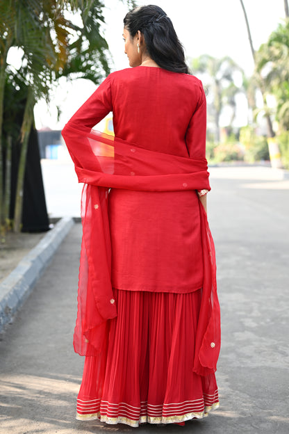 SHARARA SET WITH HEAVY NECKLINE
