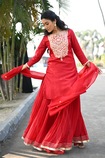 SHARARA SET WITH HEAVY NECKLINE